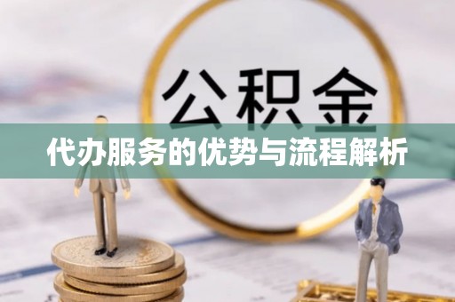 肃宁代办服务的优势与流程解析