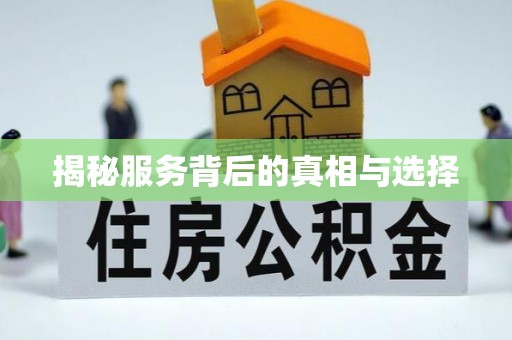 肃宁揭秘服务背后的真相与选择