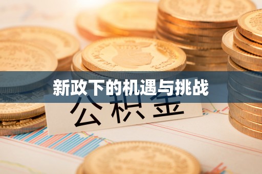 肃宁新政下的机遇与挑战