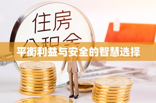 肃宁平衡利益与安全的智慧选择