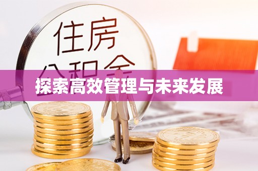 肃宁探索高效管理与未来发展