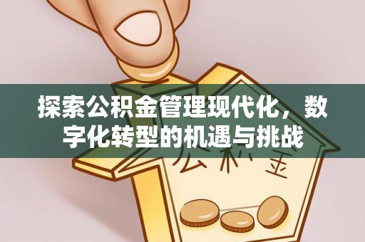肃宁探索公积金管理现代化，数字化转型的机遇与挑战