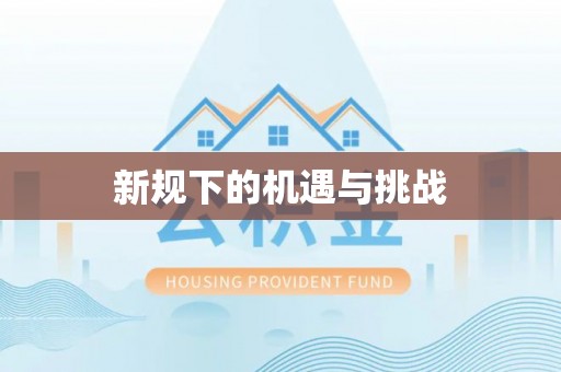 肃宁新规下的机遇与挑战