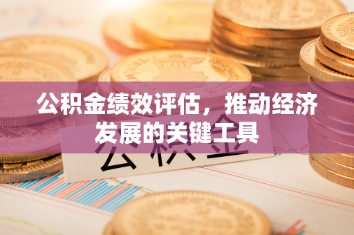 肃宁公积金绩效评估，推动经济发展的关键工具