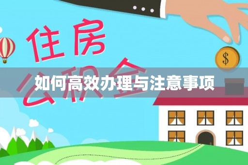 肃宁如何高效办理与注意事项