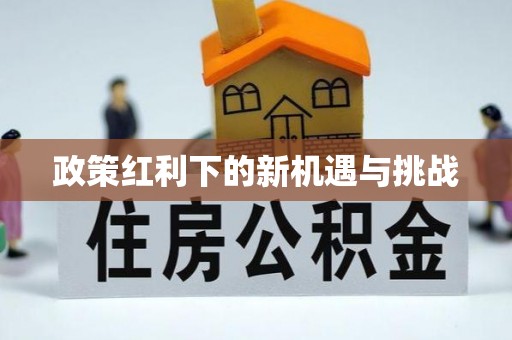 肃宁政策红利下的新机遇与挑战