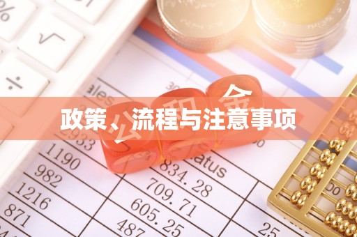 肃宁政策、流程与注意事项