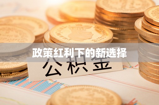 肃宁政策红利下的新选择