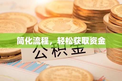 肃宁简化流程，轻松获取资金