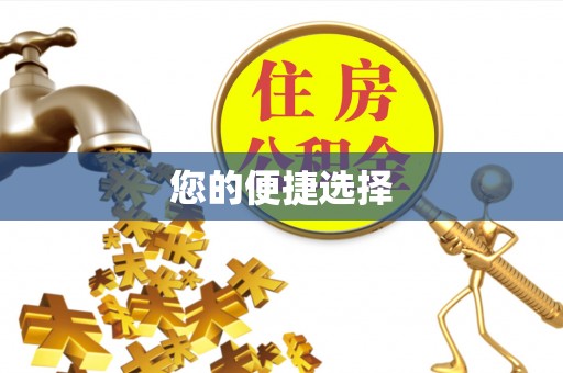 肃宁您的便捷选择