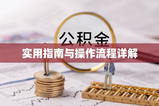 肃宁实用指南与操作流程详解