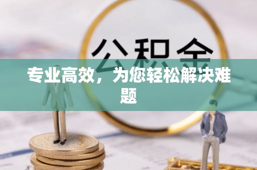 肃宁专业高效，为您轻松解决难题