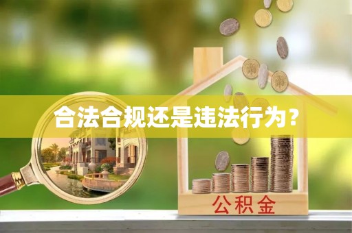肃宁合法合规还是违法行为？
