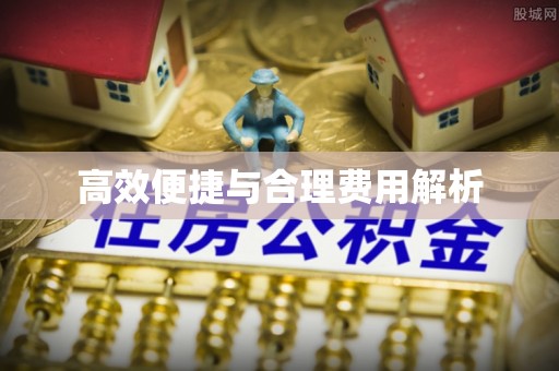 肃宁高效便捷与合理费用解析