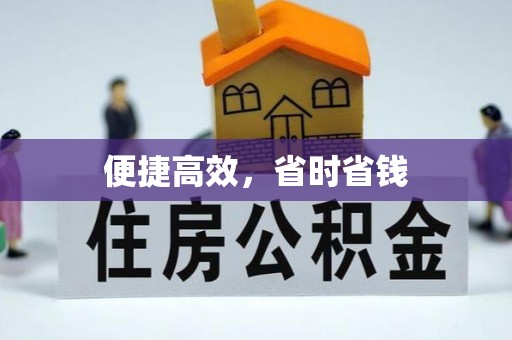 肃宁便捷高效，省时省钱