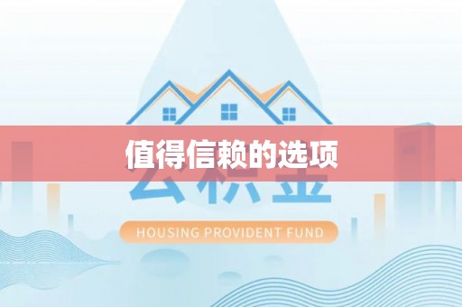 肃宁值得信赖的选项