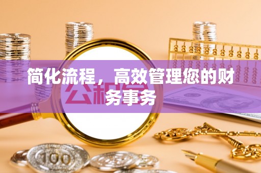 肃宁简化流程，高效管理您的财务事务