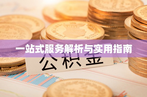 肃宁一站式服务解析与实用指南